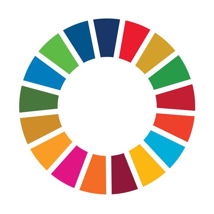 SDG Logo